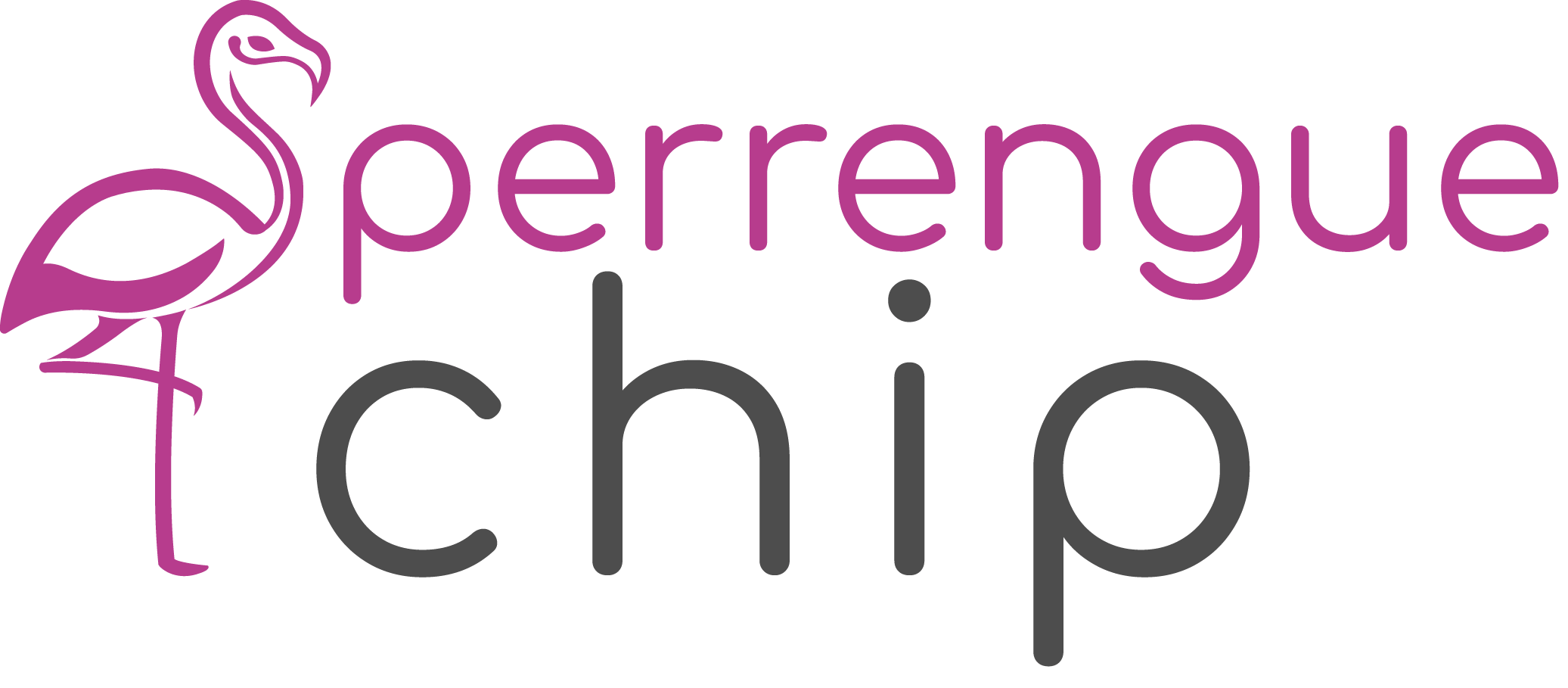 Perrengue Chique | Trip Chip